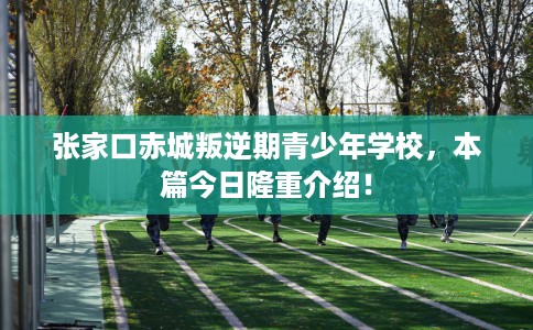 张家口赤城叛逆期青少年学校，本篇今日隆重介绍！