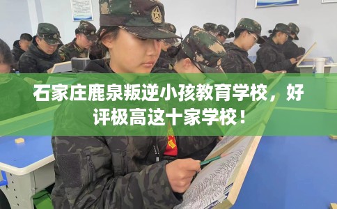 石家庄鹿泉叛逆小孩教育学校，好评极高这十家学校！