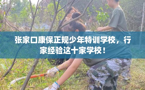 张家口康保正规少年特训学校，行家经验这十家学校！