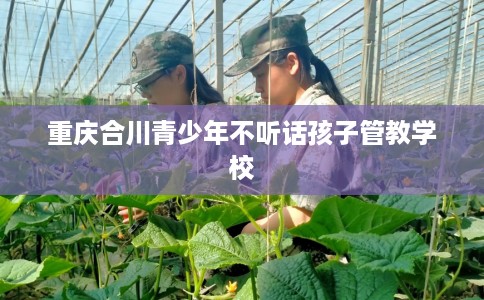 重庆合川青少年不听话孩子管教学校