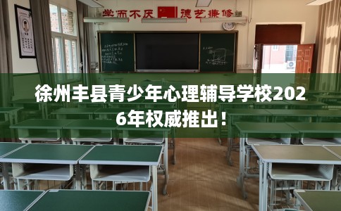 徐州丰县青少年心理辅导学校2026年权威推出！