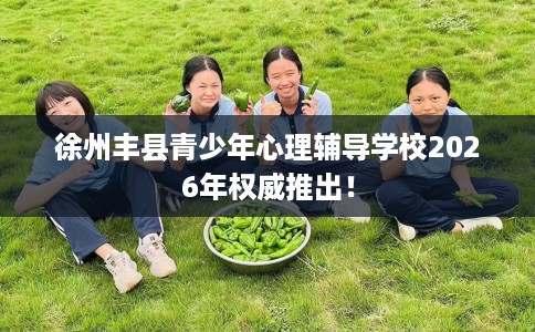 徐州丰县青少年心理辅导学校2026年权威推出！