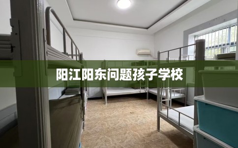 阳江阳东问题孩子学校