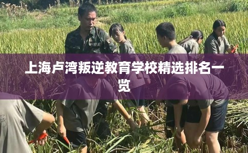 上海卢湾叛逆教育学校精选排名一览