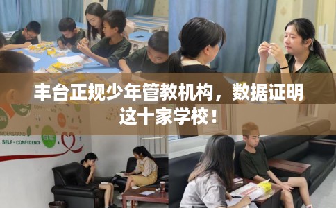 丰台正规少年管教机构，数据证明这十家学校！