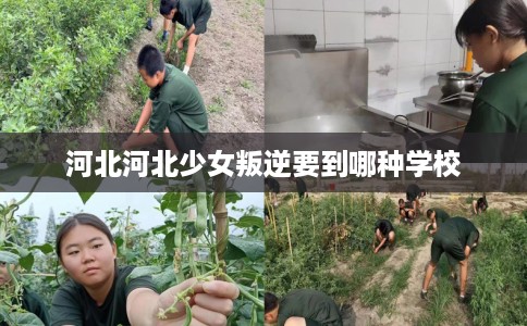 河北河北少女叛逆要到哪种学校