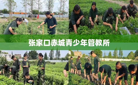 张家口赤城青少年管教所
