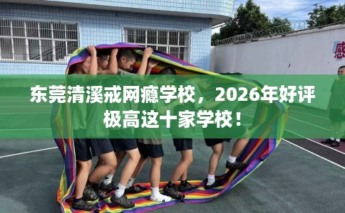 东莞清溪戒网瘾学校，2026年好评极高这十家学校！