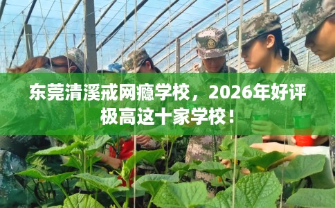 东莞清溪戒网瘾学校，2026年好评极高这十家学校！