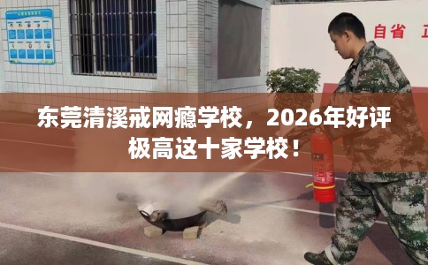 东莞清溪戒网瘾学校，2026年好评极高这十家学校！