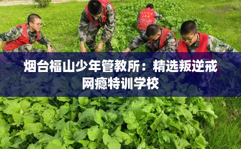 烟台福山少年管教所：精选叛逆戒网瘾特训学校
