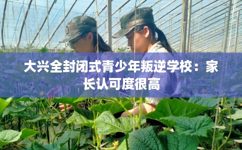 大兴全封闭式青少年叛逆学校：家长认可度很高
