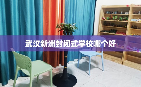 武汉新洲封闭式学校哪个好