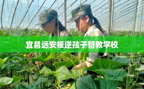宜昌远安叛逆孩子管教学校