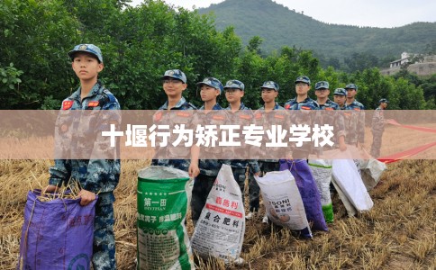 十堰行为矫正专业学校