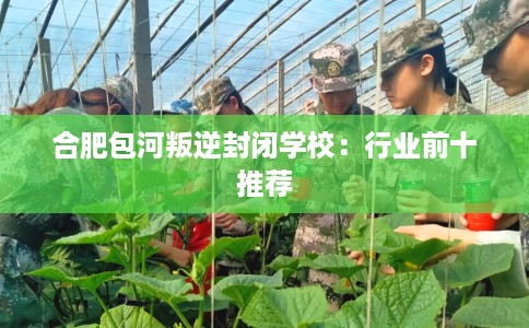 合肥包河叛逆封闭学校：行业前十推荐