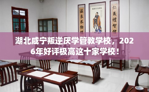 湖北咸宁叛逆厌学管教学校，2026年好评极高这十家学校！