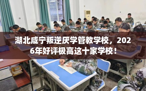 湖北咸宁叛逆厌学管教学校，2026年好评极高这十家学校！