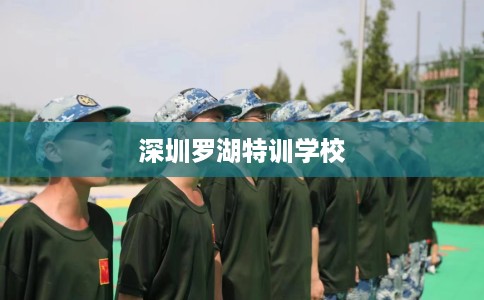 深圳罗湖特训学校