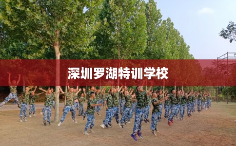 深圳罗湖特训学校