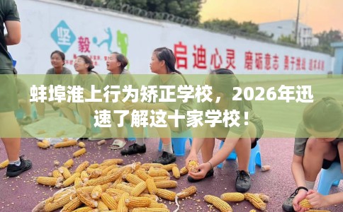 蚌埠淮上行为矫正学校，2026年迅速了解这十家学校！