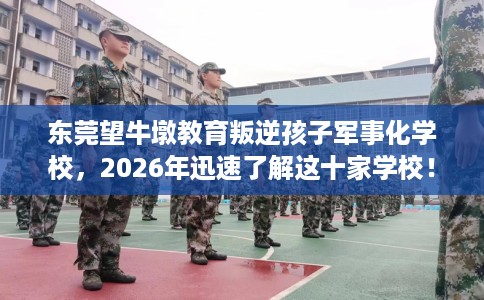 东莞望牛墩教育叛逆孩子军事化学校，2026年迅速了解这十家学校！