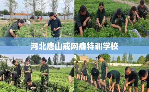 河北唐山戒网瘾特训学校