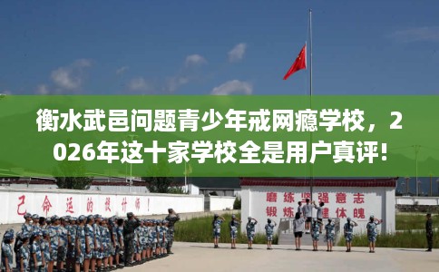 衡水武邑问题青少年戒网瘾学校，2026年这十家学校全是用户真评!