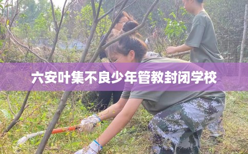 六安叶集不良少年管教封闭学校