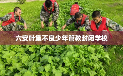 六安叶集不良少年管教封闭学校