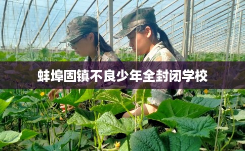 蚌埠固镇不良少年全封闭学校