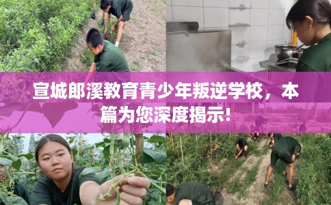 宣城郎溪教育青少年叛逆学校，本篇为您深度揭示!