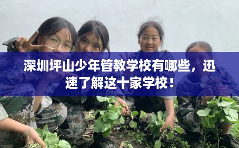深圳坪山少年管教学校有哪些，迅速了解这十家学校！