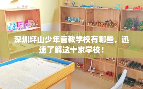 深圳坪山少年管教学校有哪些，迅速了解这十家学校！