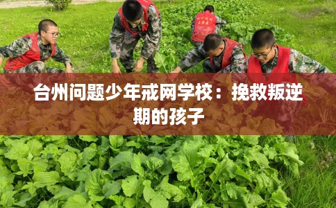 台州问题少年戒网学校：挽救叛逆期的孩子