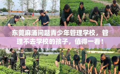 东莞麻涌问题青少年管理学校，管理不去学校的孩子，值得一看！