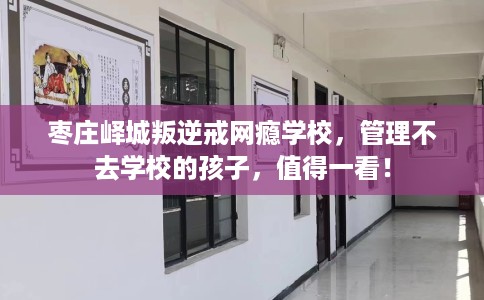 枣庄峄城叛逆戒网瘾学校，管理不去学校的孩子，值得一看！