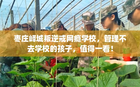 枣庄峄城叛逆戒网瘾学校，管理不去学校的孩子，值得一看！