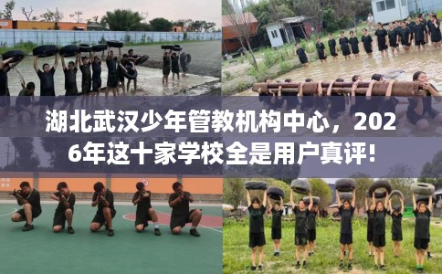 湖北武汉少年管教机构中心，2026年这十家学校全是用户真评!