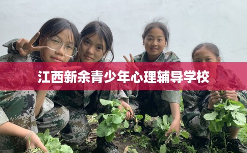 江西新余青少年心理辅导学校