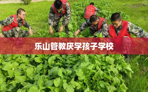 乐山管教厌学孩子学校