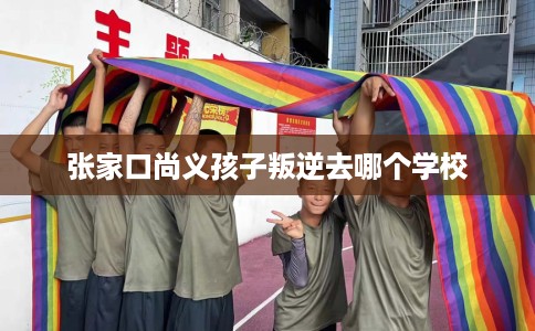 张家口尚义孩子叛逆去哪个学校