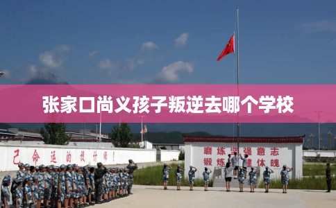 张家口尚义孩子叛逆去哪个学校