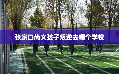 张家口尚义孩子叛逆去哪个学校