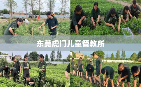 东莞虎门儿童管教所