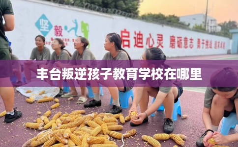 丰台叛逆孩子教育学校在哪里
