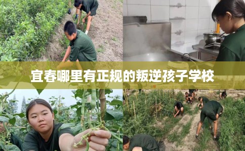 宜春哪里有正规的叛逆孩子学校