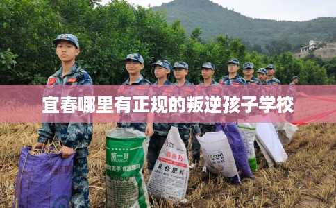 宜春哪里有正规的叛逆孩子学校