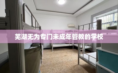 芜湖无为专门未成年管教的学校