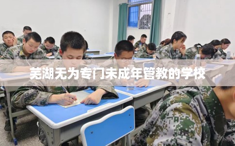 芜湖无为专门未成年管教的学校